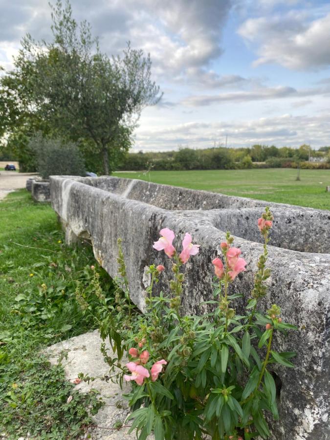 Domaine De La Laigne - Spa Asnières-la-Giraud Екстериор снимка