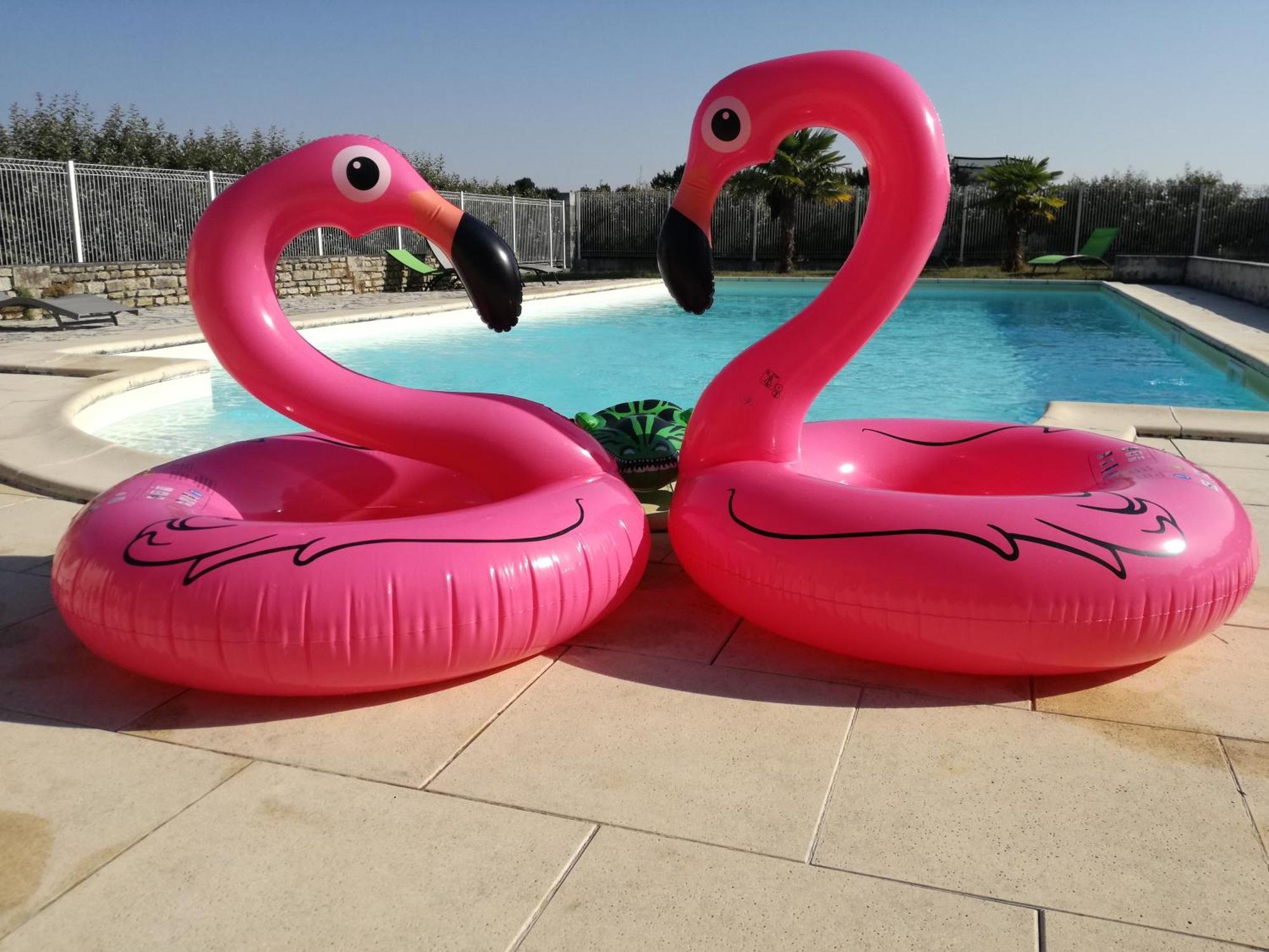 Domaine De La Laigne - Spa Asnières-la-Giraud Екстериор снимка